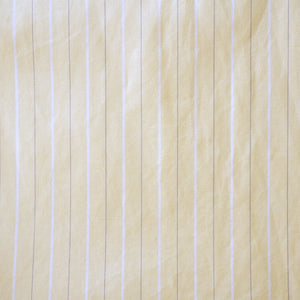 SUPIMA POPLIN WIDE BC SHIRTS
