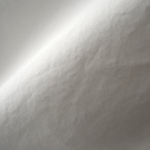 LOOSE FIT RC SHIRTS